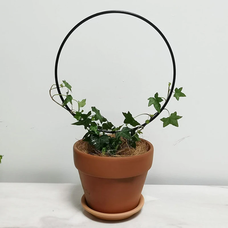 

Black Metal Garden Trellis For Climbing Plants Flower Vegetables Rose Rattan Round Shape Plant Holder 2022