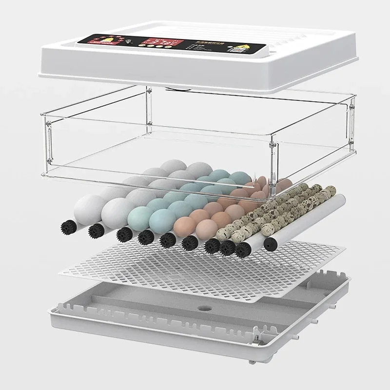 110V/220V Eggs Incubator Brooder Automatic Farm Incubation Tools Bird Quail Chick Hatchery Poultry Hatcher Turner 10/12Pcs