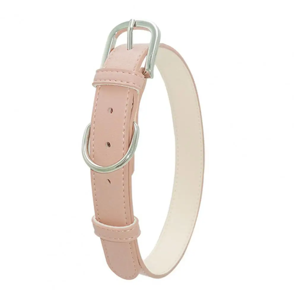 

Reliable Neck Adjustable Small Medium Large Dog Necklace Pet Necklace Bright Color Dual Buckles