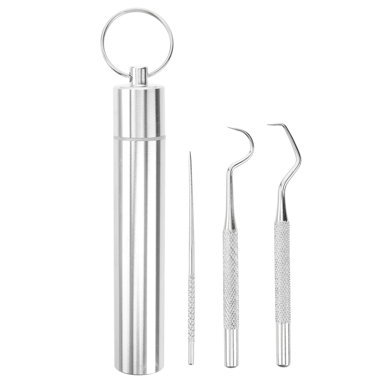 

Teeth Picker Toothpick A Container Mini Key Ring Suite Toothpicks Stainless Steel Portable Travel Nursing Reusable flosser