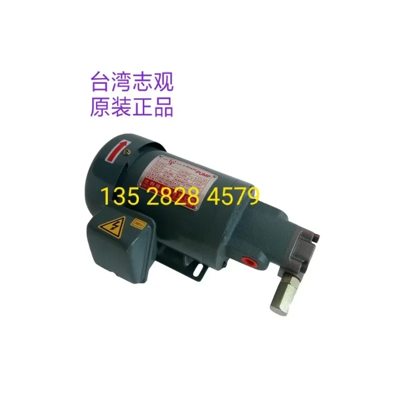 Прецизионная машина Taiwan Zhiguan TSWU KWAN насос с прямым подключением масляный железным