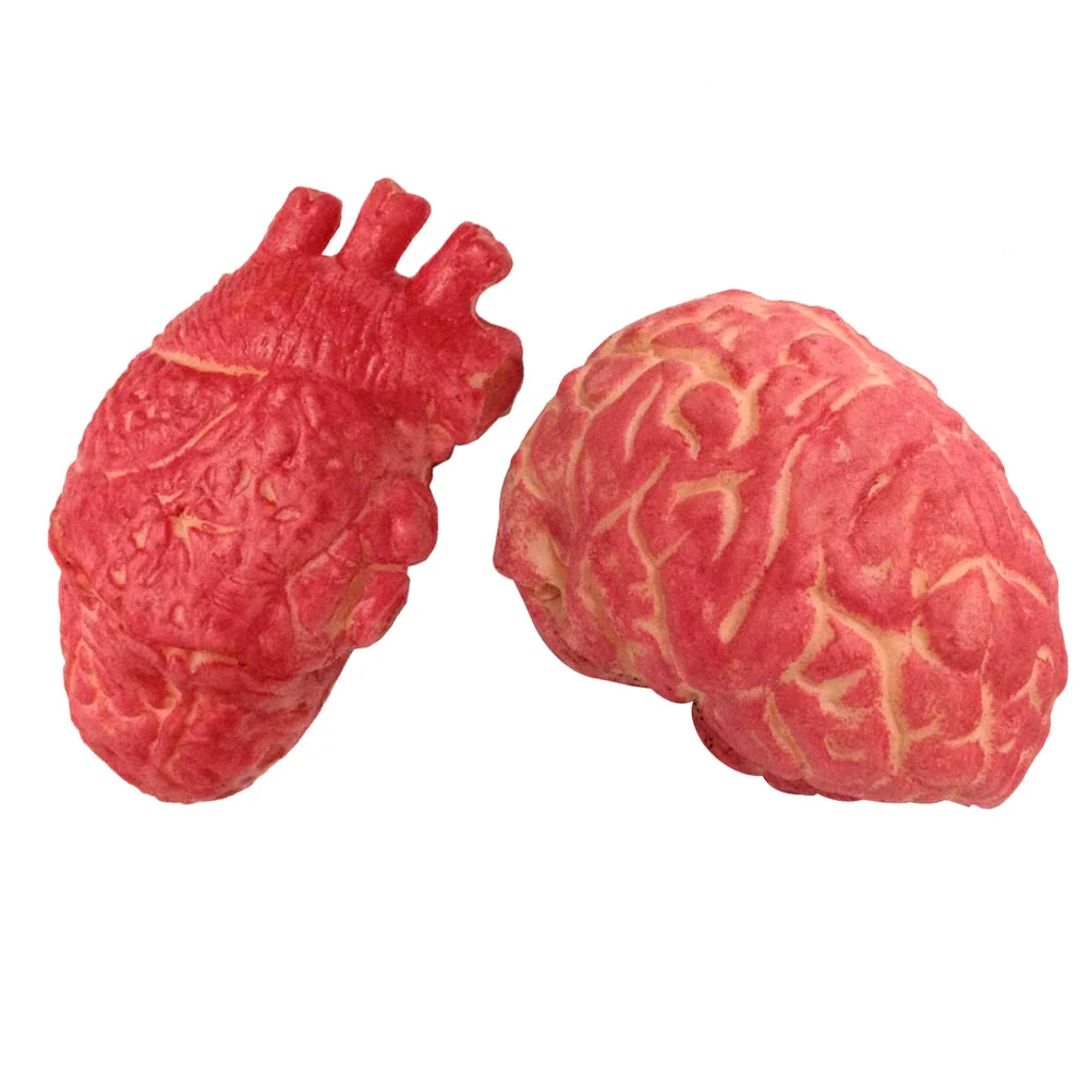 

Heart Brain Body Fakeprop Humanpartsprops Horror Party Decorations Broken Blood Zombie Favors Realistic Realsimulationscary