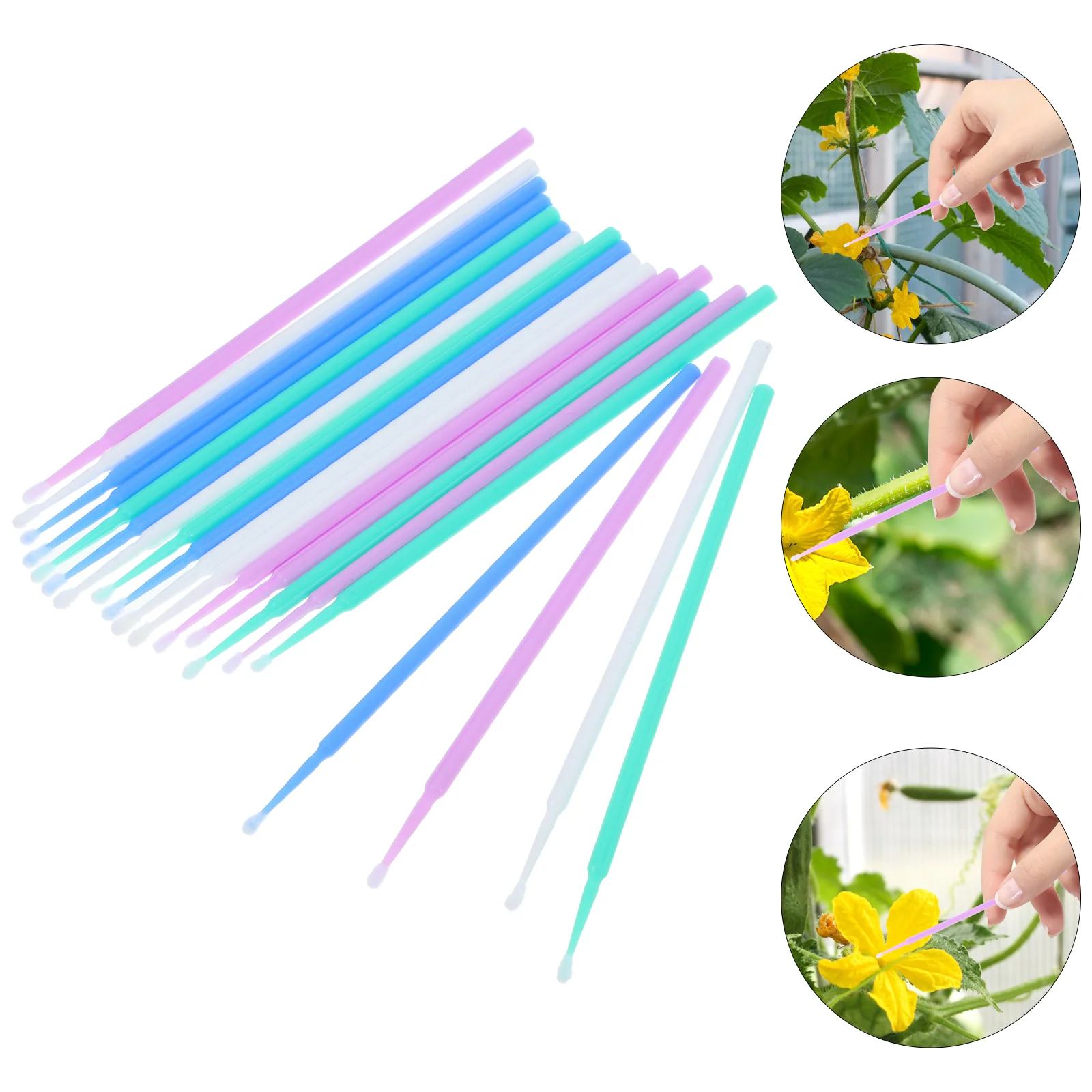 

20Pcs Garden Pollinator Pollinator Tool Vegetable Pollinator Pollination Tool Garden Pollinator