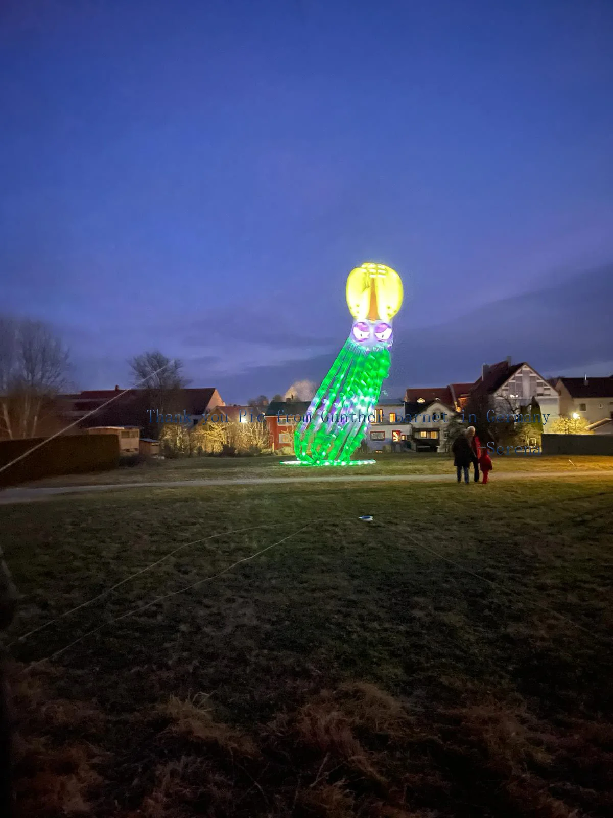 Показательный змей 18 м светодиодный мягкий надувной змей-осьминог большой