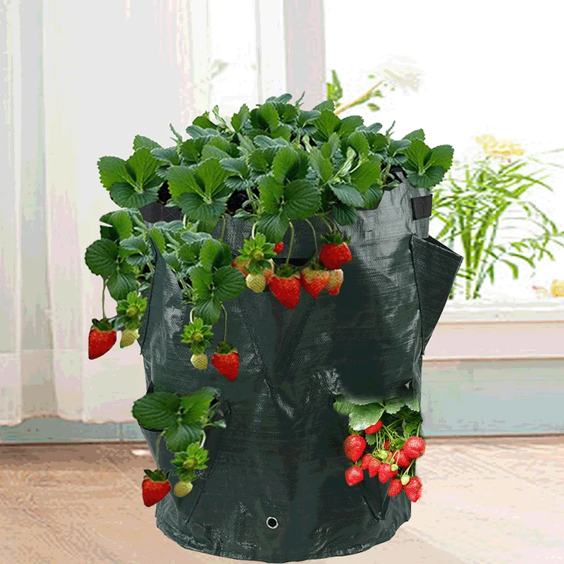 

Multi-Mouth Grow Bag 7 Gallons Strawberry Tomato Planting Bags Reusable Gardens Balconies Flower Herb Planter