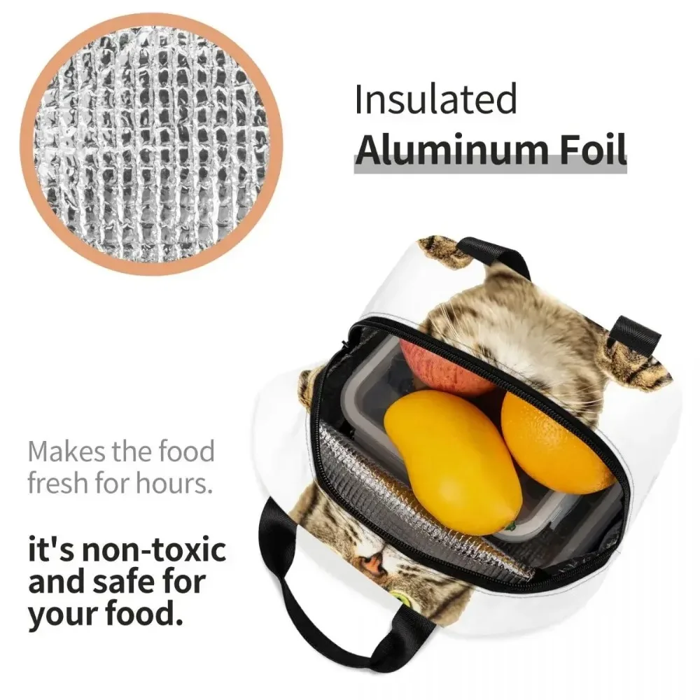 Сумка для обеда с забавным котом женщин и детей портативный термохолодильник