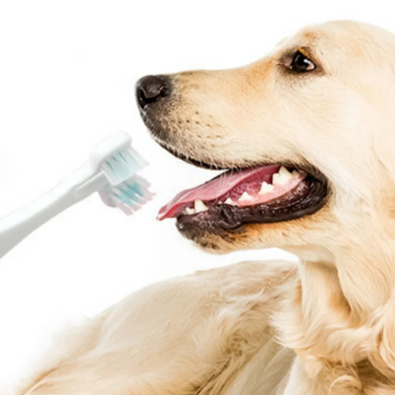 

360 Degree Soft Pet Toothbrush 2 Sides Dog Brush Addition Bad Breath Tartar Teeth Care Dog Cat Cleaning Mouth Cleaning Supplies