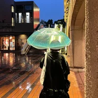 Зонтик-медуза#2