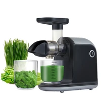 kitchen fruit vegetable electric cold press horizontal slow juicer best selling usa low noise 44cm 21cm 33cm household 12000