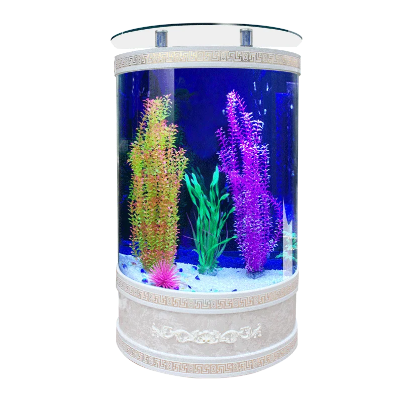 Полукруглая аквариум в европейском стиле для большой гостиной 80 разделительных