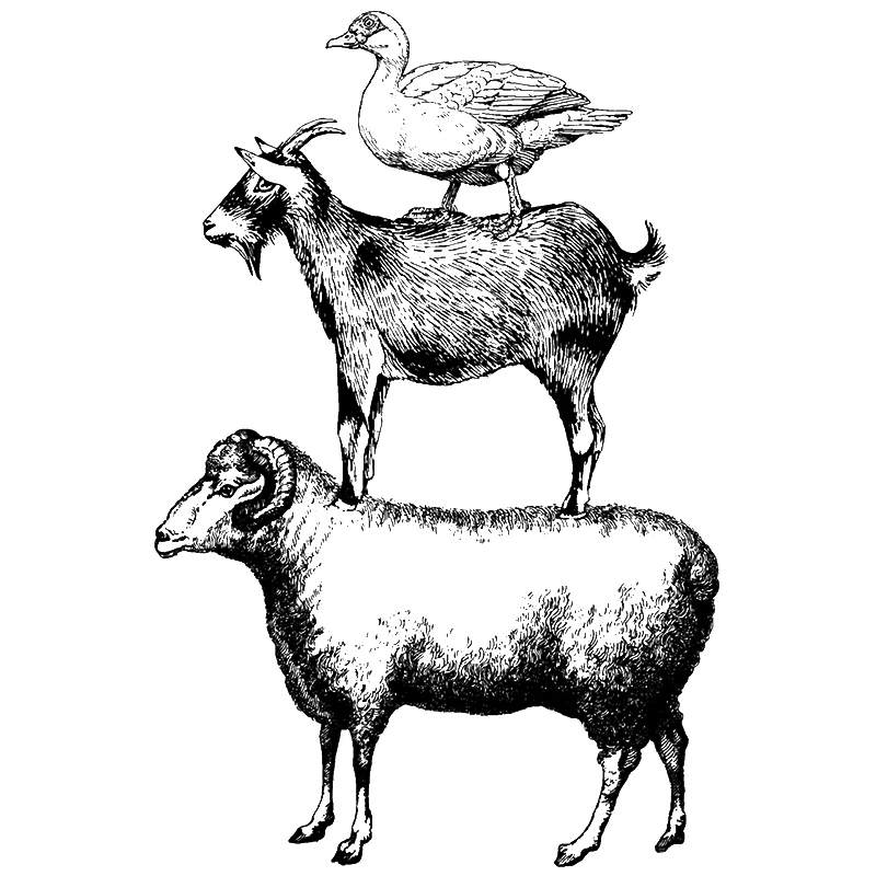 2022 New Retro Poultry Goat Sheep Goose Pattern Clear Stamp For DIY Making Paper Greeting Card Scrapbooking No Metal Cutting Die