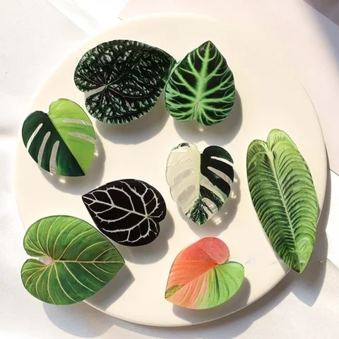 Растительная розетка, складная ручка для телефона, акриловый держатель для телефона Tok Leaf для iPhone, универсальный кронштейн для смартфона Griptok, подставка для пальцев