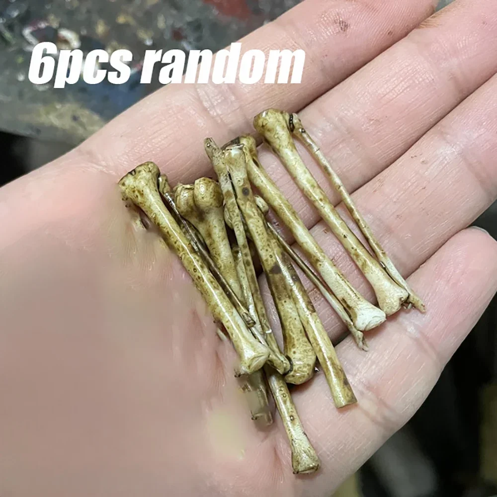 

Миниатюра скелета из пластика 1:12