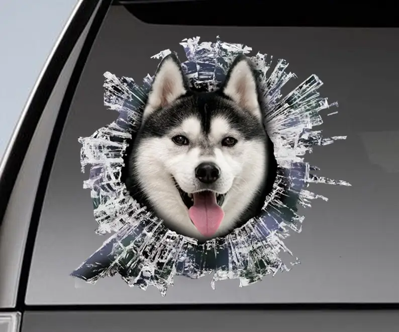 

Husky window sticker, car sticker, black and white husky car decal, funny decal