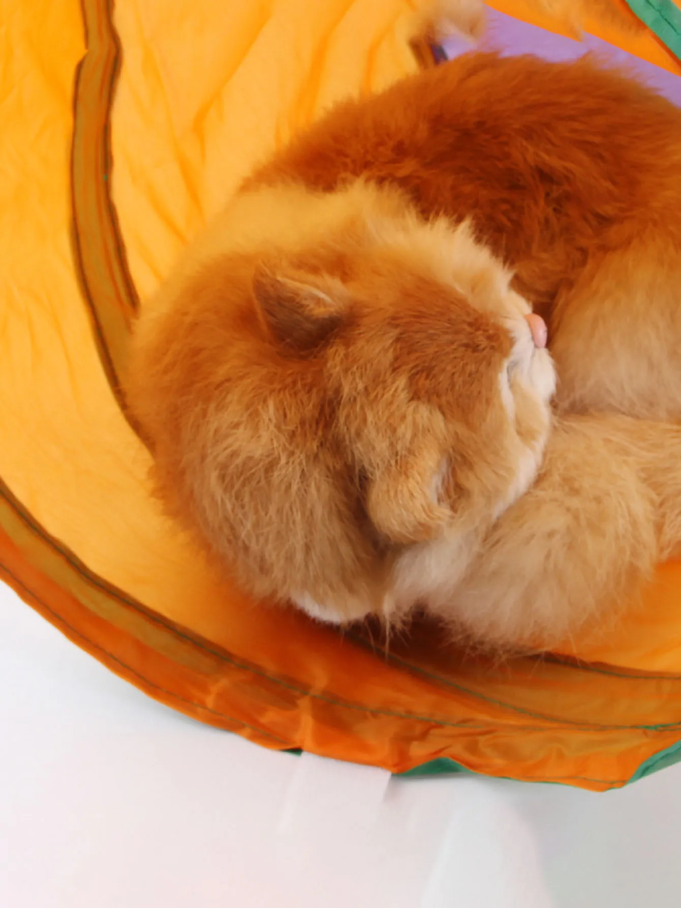 1 шт.-тоннель для домашних животных радужная кошка L-образный складной бриллиант