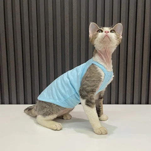 Кошка костюм для воздушной гимнастики - купить недорого | AliExpress