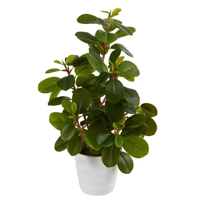 

16" Green Peperomia Artificial Plant in Decorative Planter