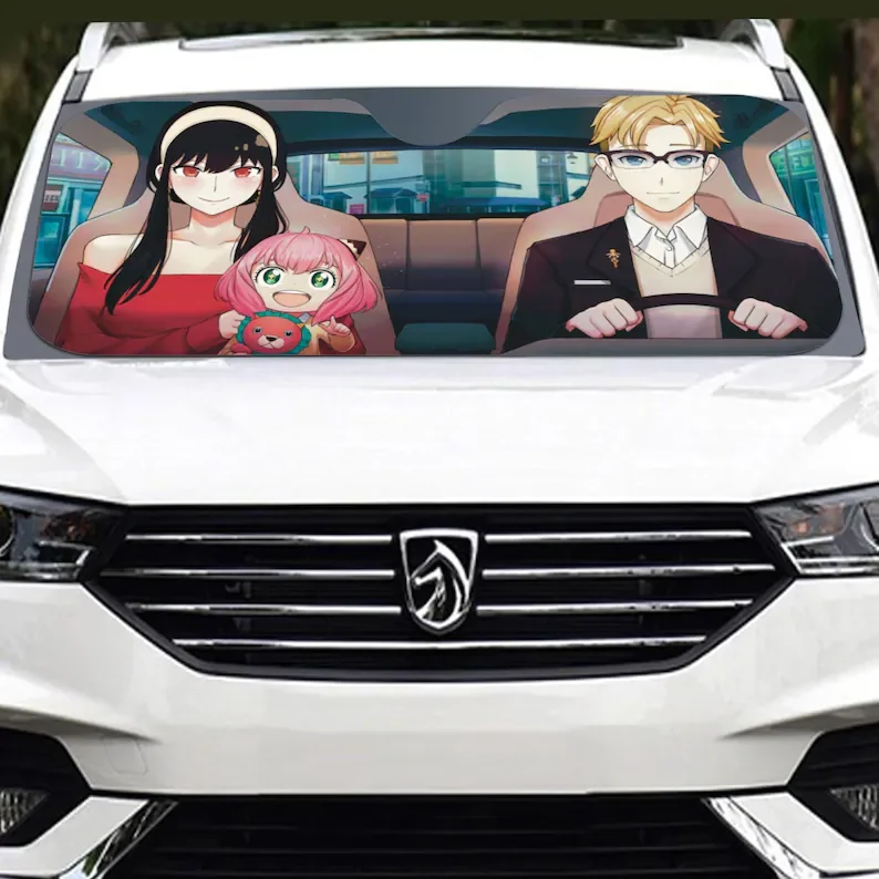 Рисунок 2 - Шпионский гармошкой солнцезащитный