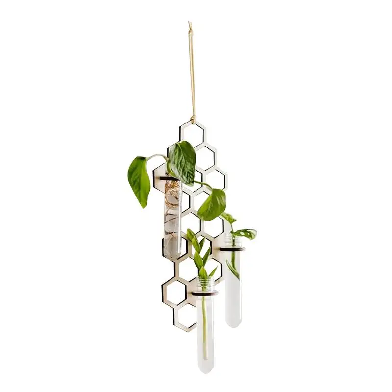

Wall Hangings Planter Plant Propagation Stations Plant Terrarium Glass Planter Test Tube Vase For Propagating Hydroponic Plants