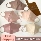 Одноразовые маски 3D Morandi со ртом для лица чехол для рта в японском стиле 3-слойная защитная маска для взрослых противопылевая 10 дюймов