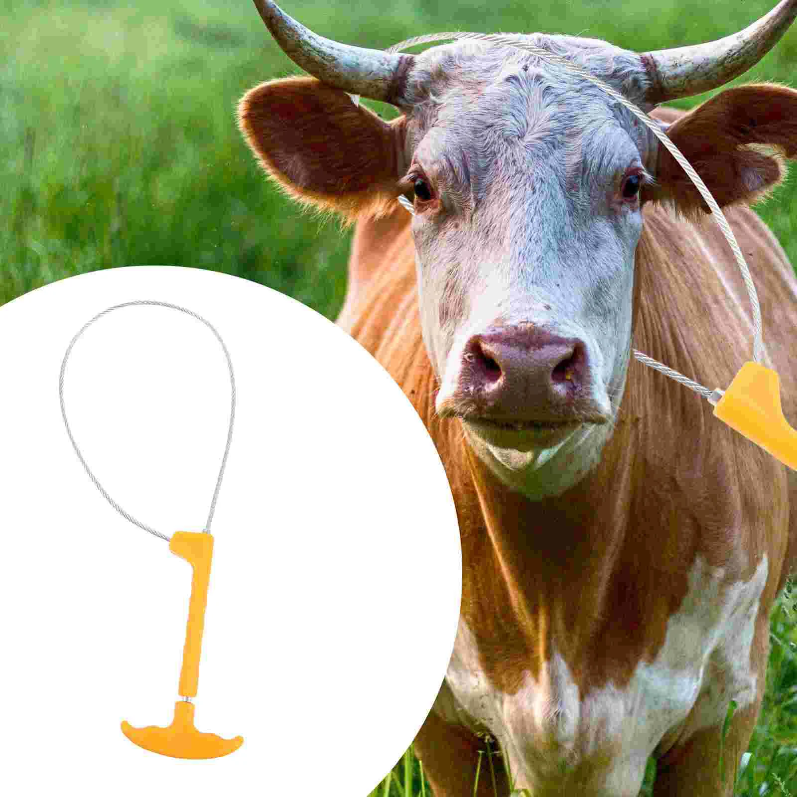 

Ловушка для овец Baoding из нержавеющей стали