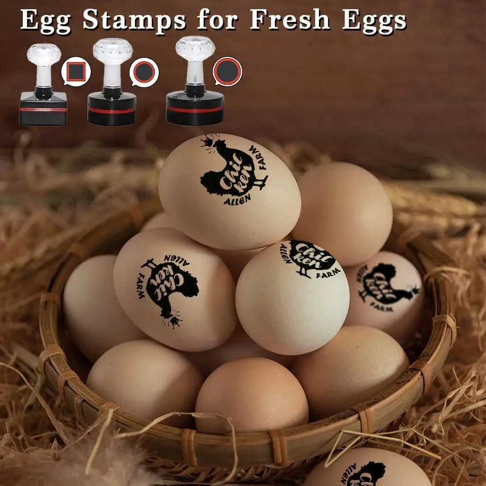 Custom Egg Stamp For Fresh Eggs Seal Farm Mini Egg Stamp Personalized Clear Logo Labels For Fresh Eggs With Optional Patter O7D8