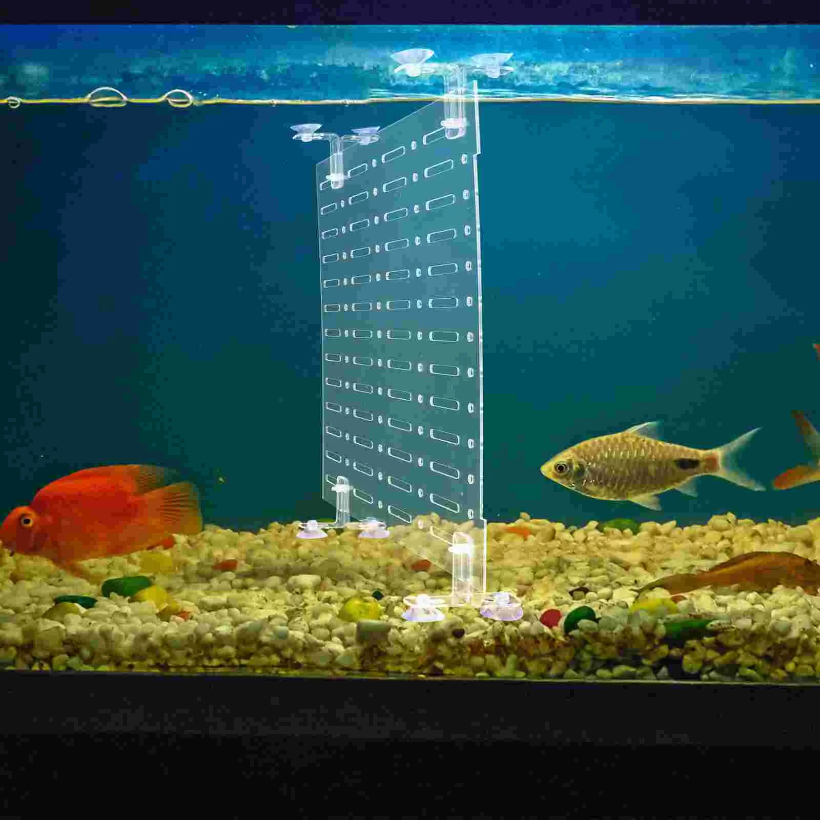 

Fish Tank Isolation Board Plate Tool Aquarium Divider Clear Dividers Acrylic Separation