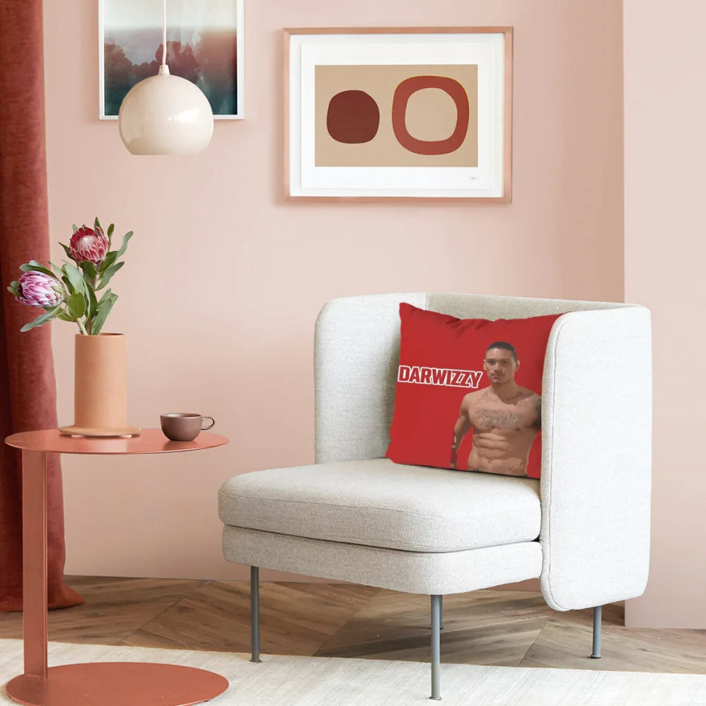 Подушка Darwizzy для офиса классного стула подушка дивана спальни пола зимняя