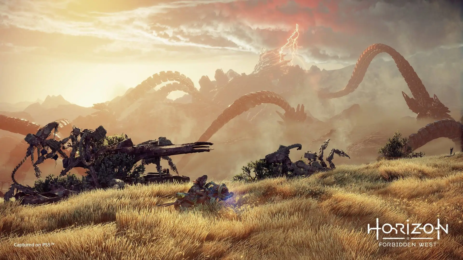 Horizon Today West - PlayStation 5 оригинальная видеоигра PS5 |