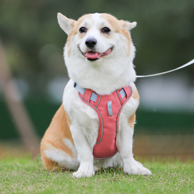 

Dog Harness Vest Tactical Luminous Pectoral Collar Adjustable Mesh Waterproof Breathable Cat Strap Chest Anti Pulls Pet Supplies
