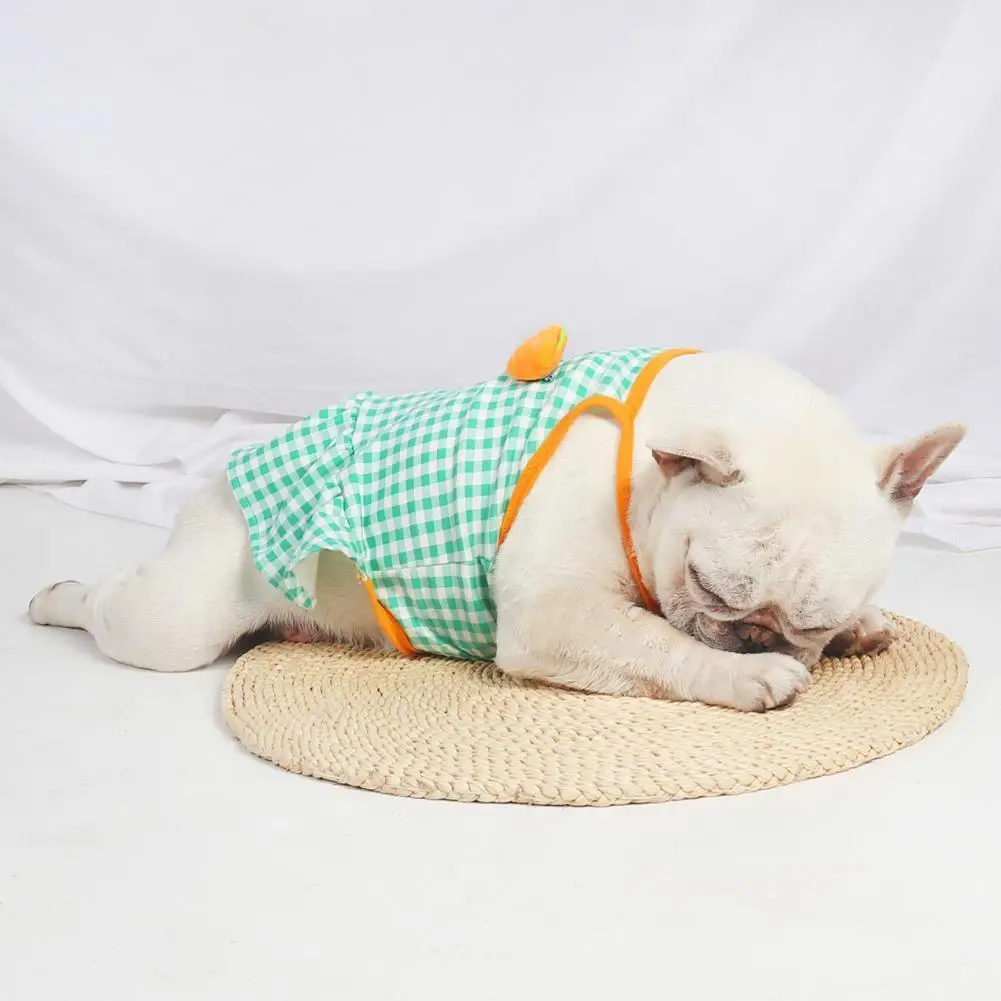 

Plaid Washable Summer Small Dog Princess Cosplay Costume for Home Wear