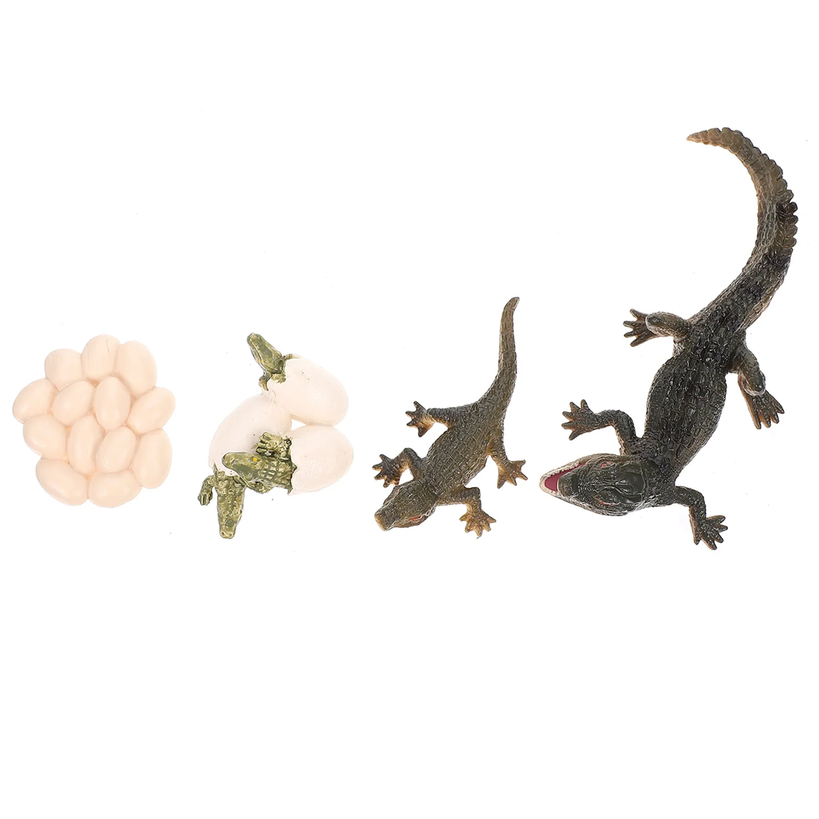 

Bee Suit Growth Cycle Model Figurine Crocodile Bee Life Figure Plastic Toy Educational Student