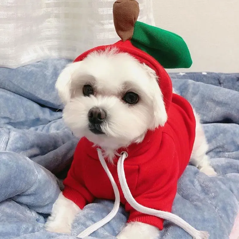 

Early Autumn New Love Pet Sweater Teddy Bichon Frisé Pomeranian Poodle Dog Cat Puppy Small Dog Clothes Pet Supplies Decoration