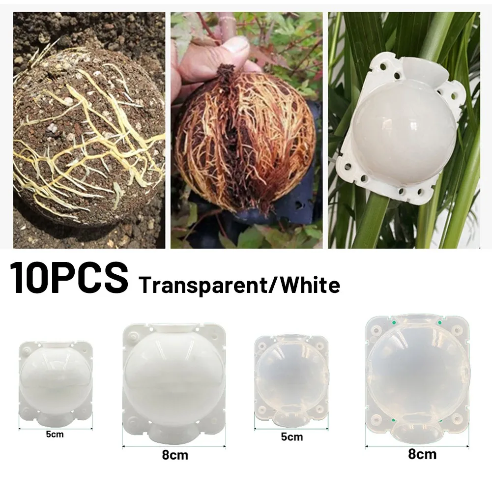 

10Pcs Set Reusable Plant Root Growing Box Cutting Grafting Rooting Ball Garden Rooting Propagation Balls Equipment Nursery Case
