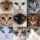 Алмазная картина 5D с изображением животных, счастливый кот, Набор для вышивки крестиком, мозаика, алмазная вышивка, домашнее искусство, украшение, подарок