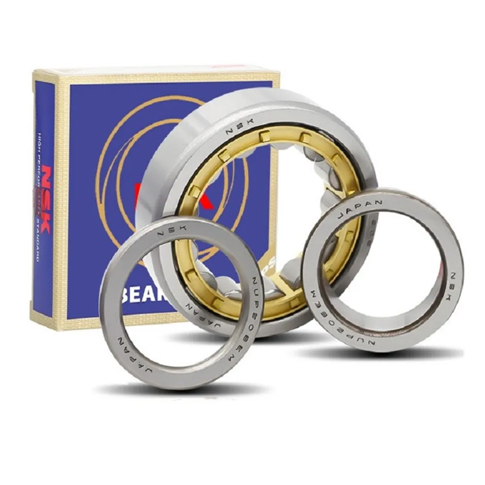 Цилиндрические роликовые подшипники NSK NJ NU303 304 305 306 307 308 309 310 311 NJ309 ECP/C4