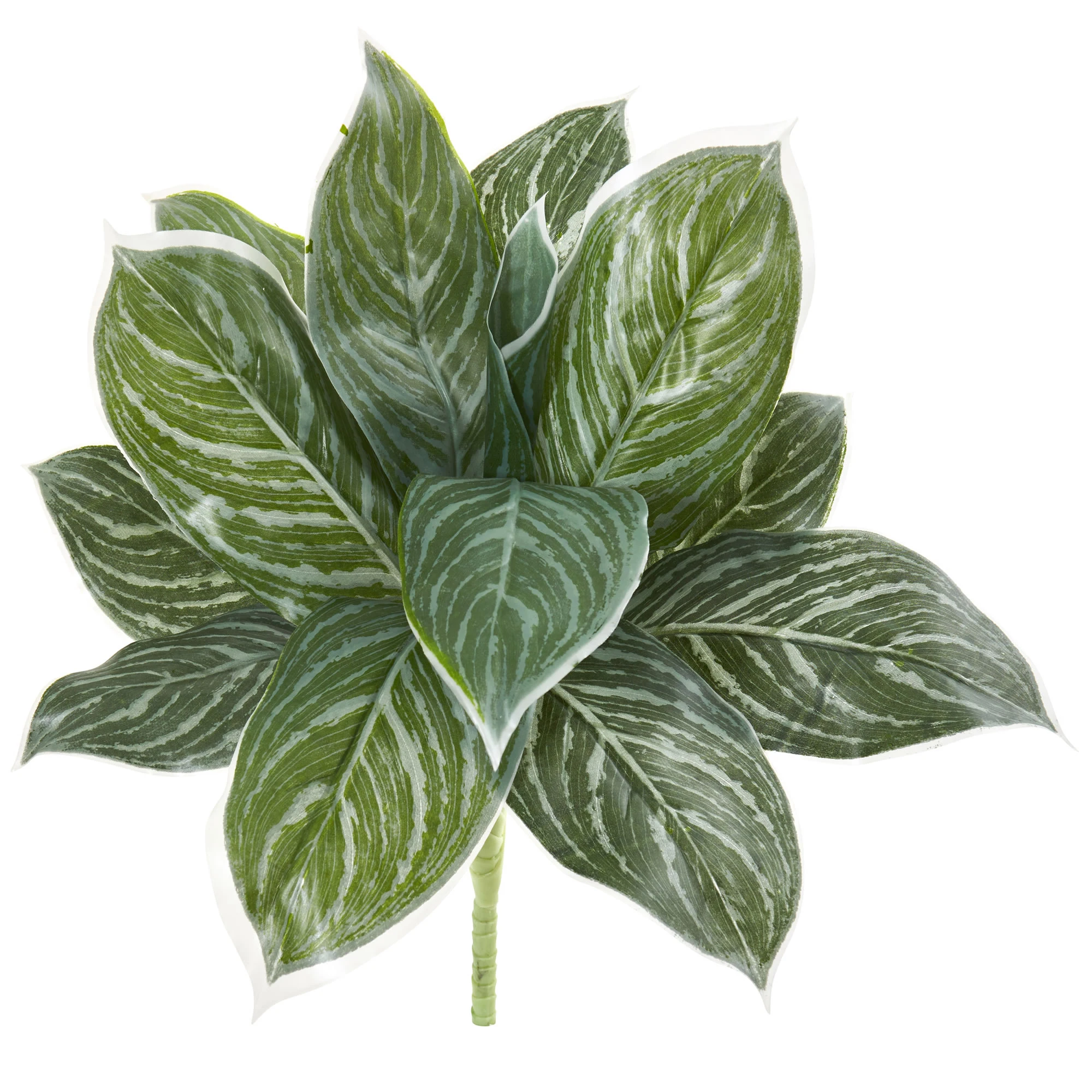 

21" Silver Aglaonema Artificial Plant (Real Touch) (Set of 6), Green