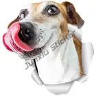 3D наклейки на автомобиль с изображением голодного Джека Расселла собаки, Наклейки на стены, автомобили, бампер для унитаза, багажника, чехол на окно, украшение, искусство, pvc12 x 12 см