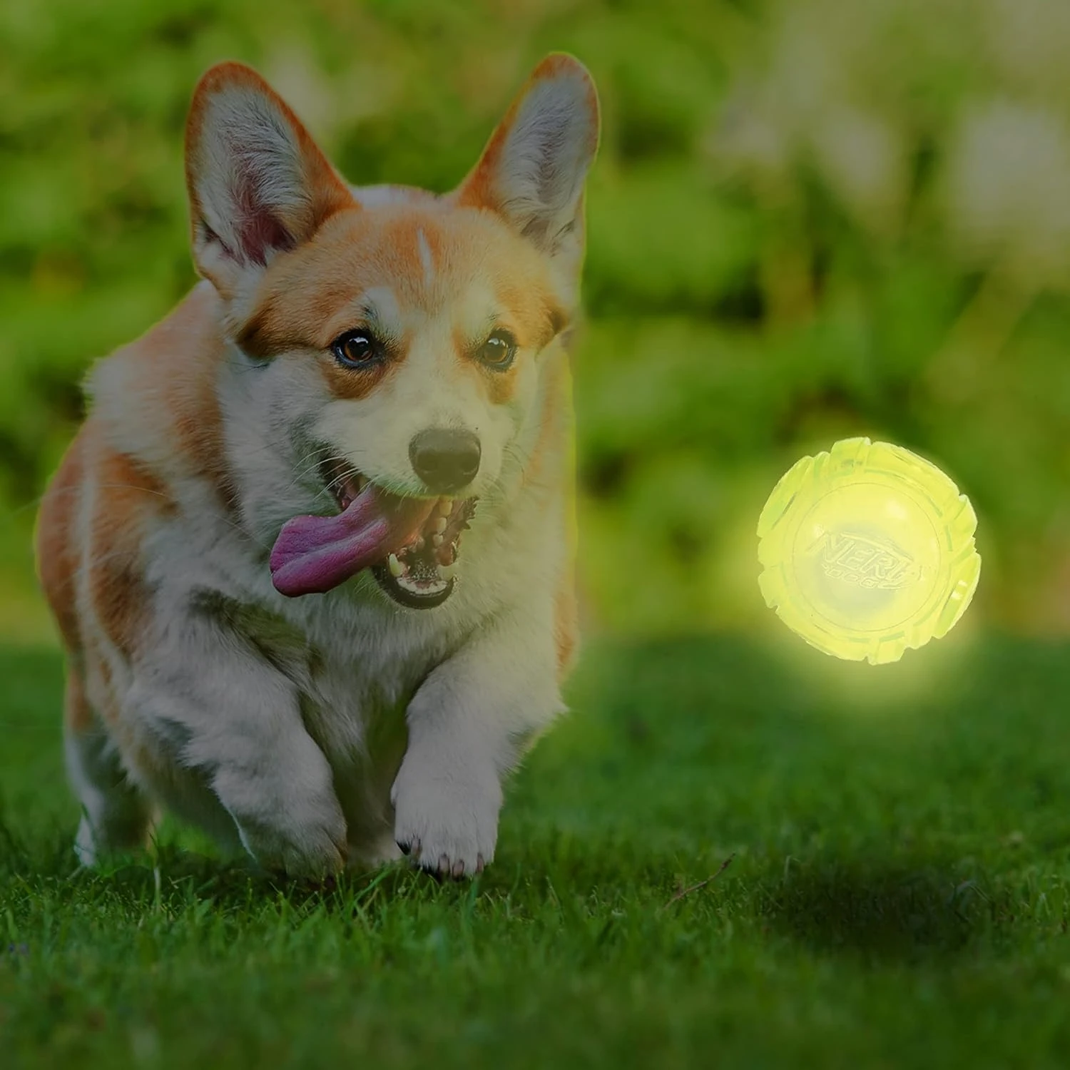 Интерактивная игрушка Glow Ball для собак