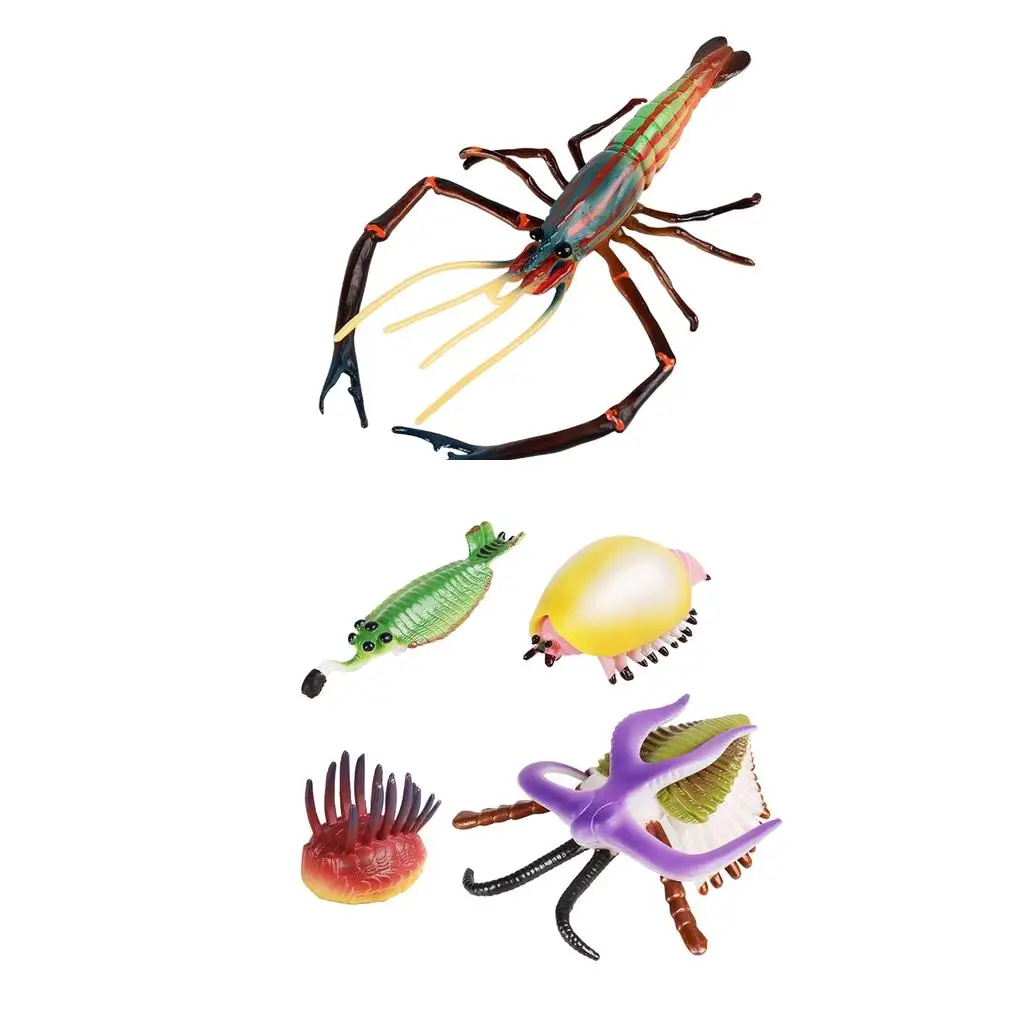 

Модель морских животных для проектов «сделай сам», 5 шт.