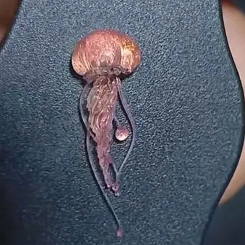 Силиконовые медузы для дизайна ногтей формы-капельницы формы эпоксидной смолы