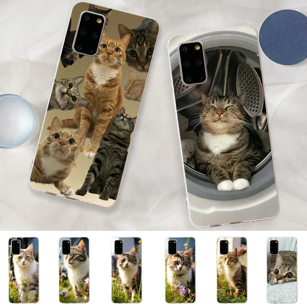 

Cartoon Fun Cat Phone Case for Samsung S21 A10 for Redmi Note 7 9 for Huawei P30Pro Honor 8X 10i Cover