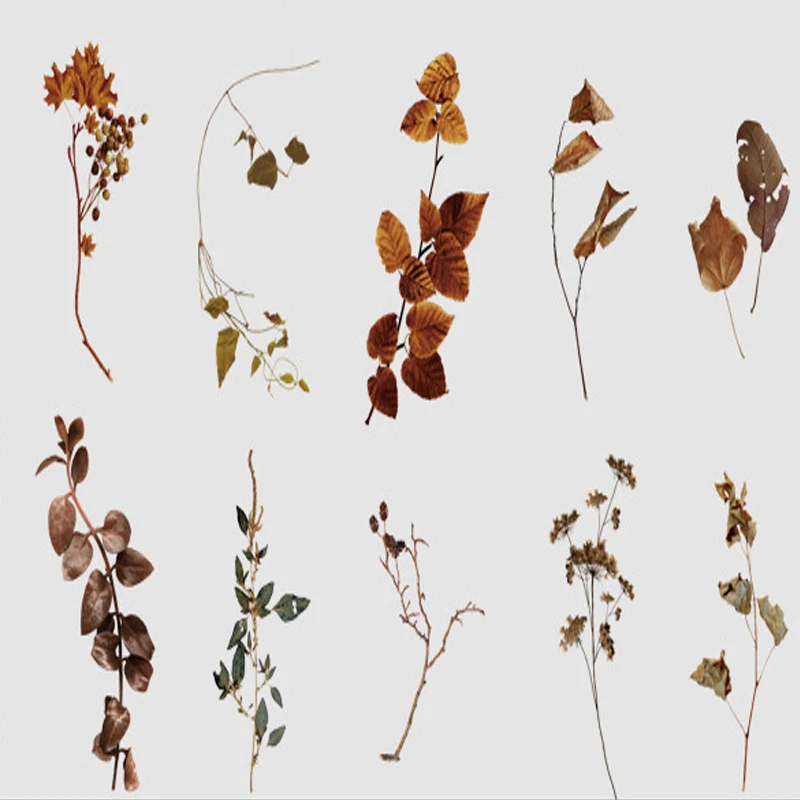 

Декоративные наклейки leaffei папоротник 180*95 мм