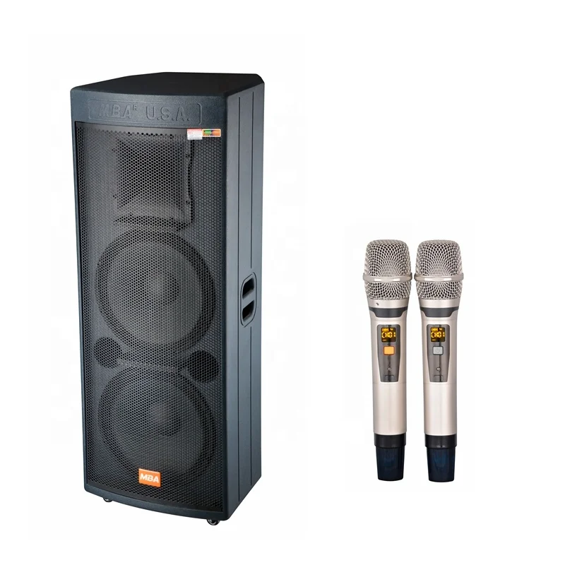 

Двойная 15-дюймовая перезаряжаемая караоке-колонка с 2 беспроводными UHF-микрофонами
