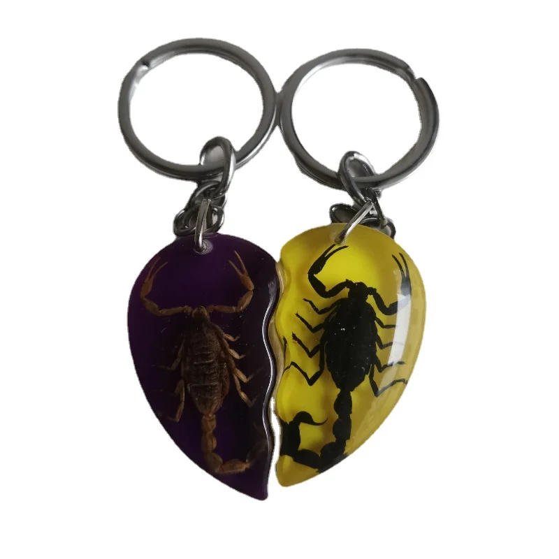 

Couple Key Chain Real Insect Specimen Scorpion Seahorse Resin Heart-shaped Key Ring Pair for Her Him Friend Gift Home Decoration