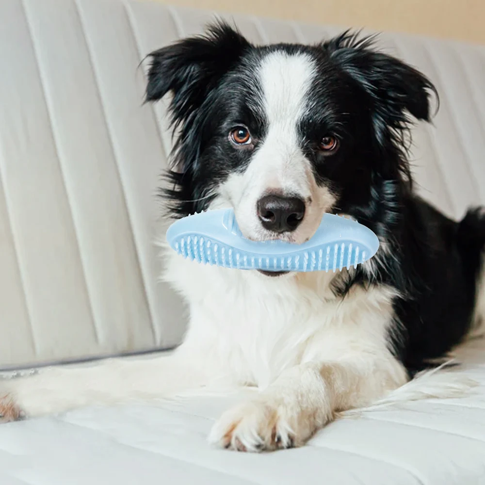 

Interactive Pet Toy Dog Molar Toothbrush Toys Puppy Chew Toys Pet Molar Tooth Cleaning Supplies Pet Training Toy Pet Accessories