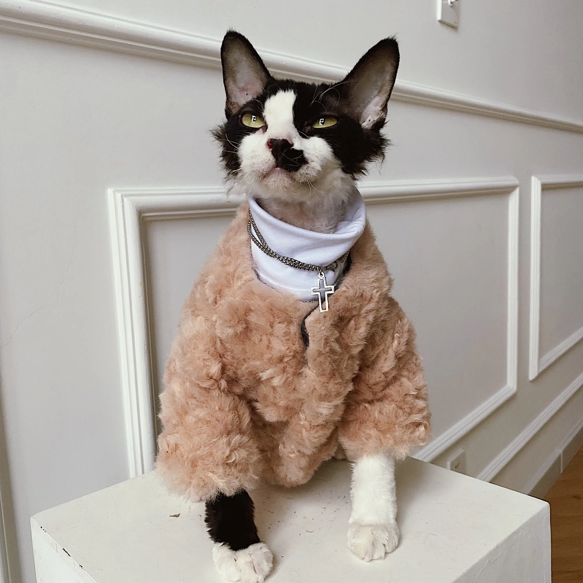 Утепленное плюшевое пальто Devon Rex свитер с котом костюм одежда сфинкса пуловер