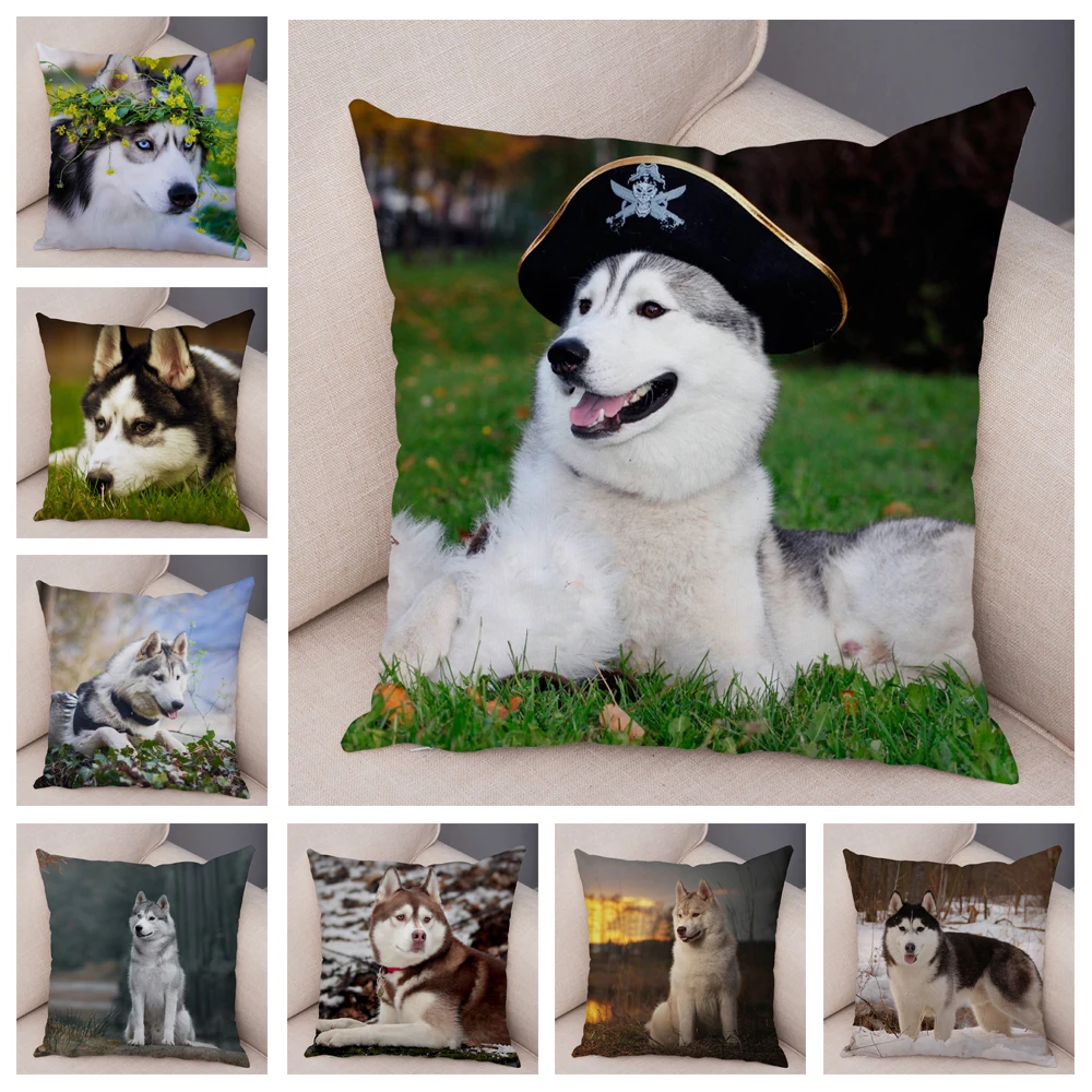 Husky Dog Pet Animal sofa pillow cushion cover case funda cojin cojines decorativos para sofá 45x 45 almofadas 쿠션커버 чехлы car