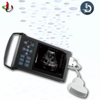horses cats cows ultrasound scanning handheld veterinary ultrasound machine