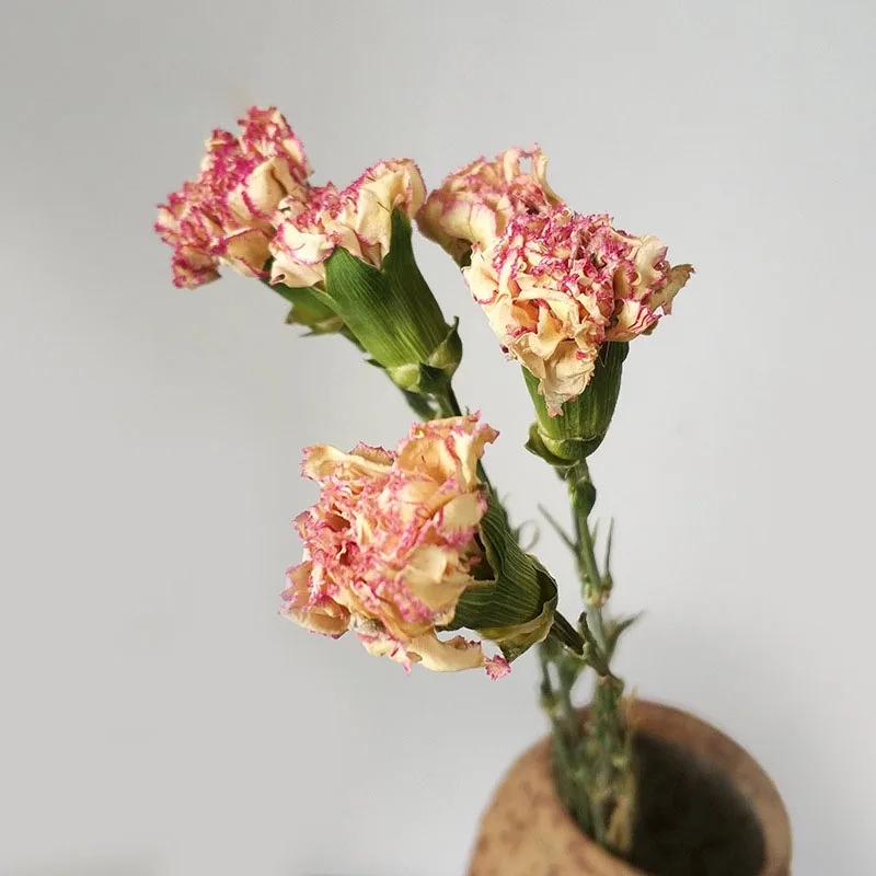 10 шт. Натуральные сушеные цветы |